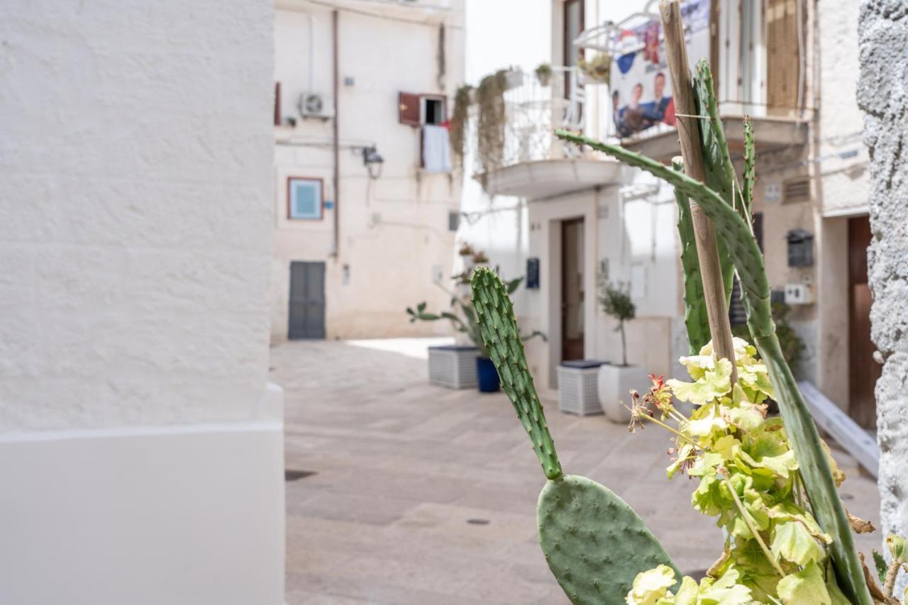 Wineart House, Terracielo Indipendente Nel Centro Di Monopoli Apartment Екстериор снимка